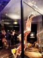 Wystawa "Body Worlds", foto nr 4, Anna Bogacka