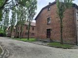 Auschwitz nie spadło z nieba. Nie bądźcie obojętni., foto nr 3,