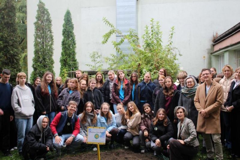 Ikona do artykułu: POLA NADZIEI 2025