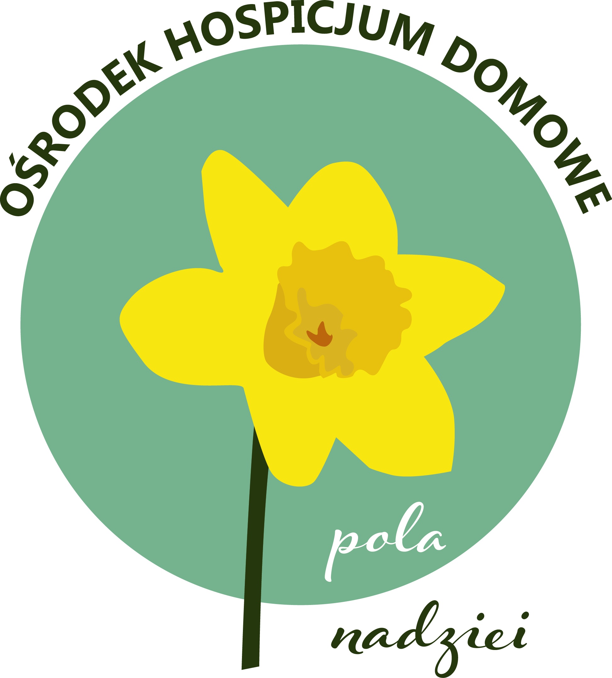 Więcej o: Pola Nadziei 2026 - żonkile